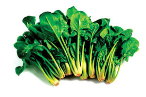 Vücut direncini yükseltiyor...