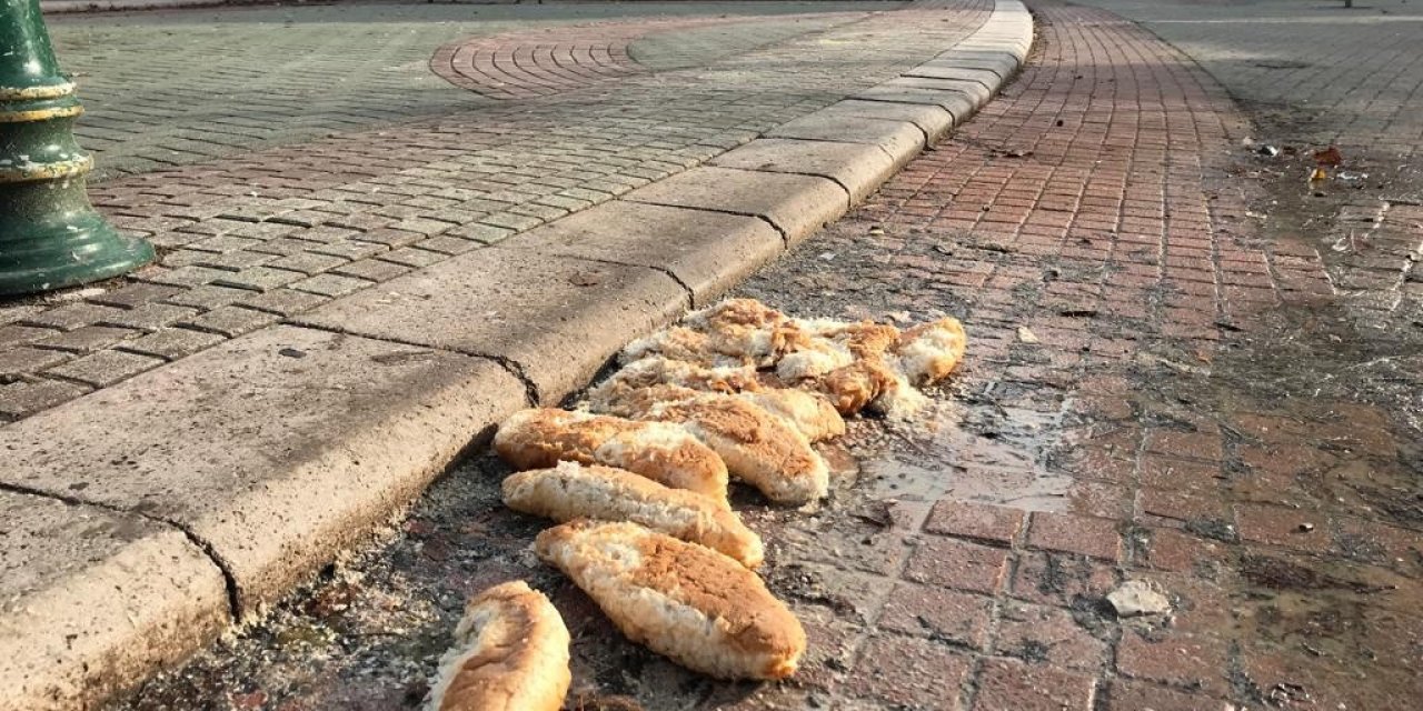 Sevimli dostlar için bırakılan ekmekler bu hale geldi