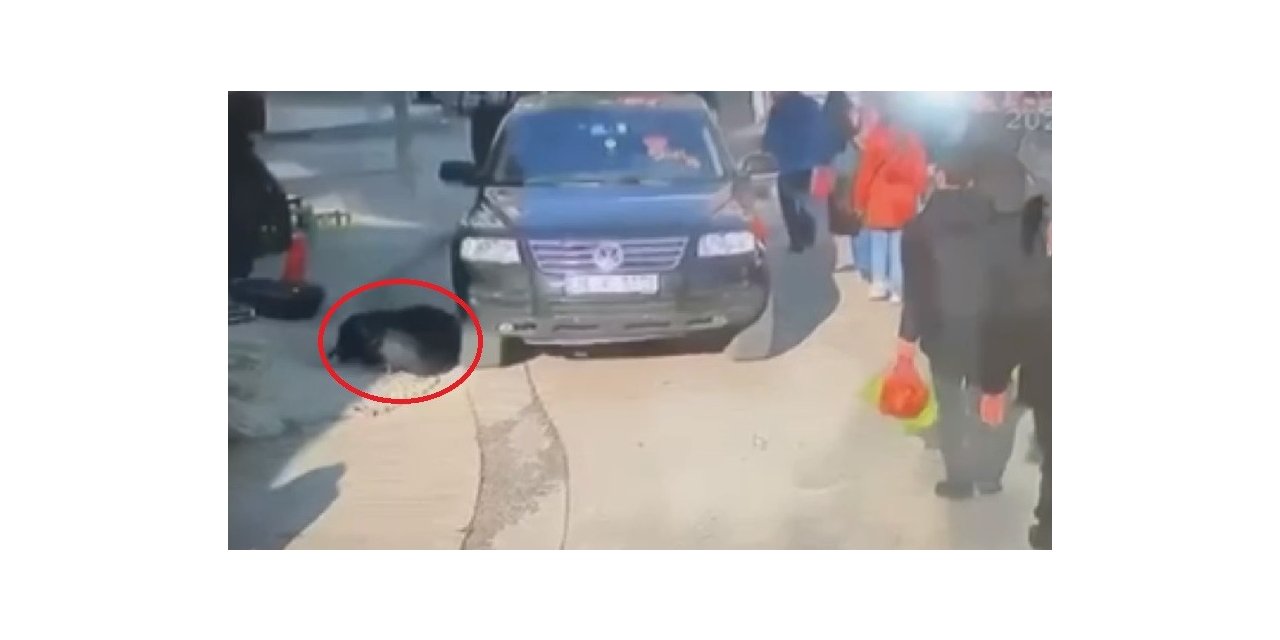 Cipin yaşlı kadına çarparak altına alma anı kameralarda