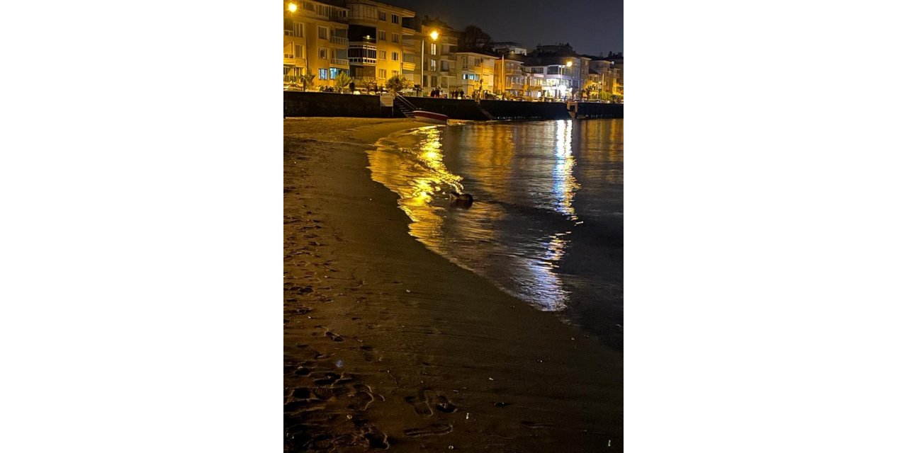 Su samurunu görenler hayrete düştü