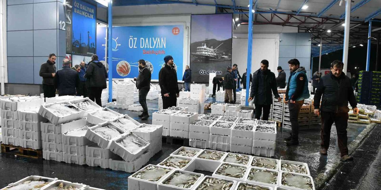 Ankara Balık Hali esnafı yeni yerinden memnun