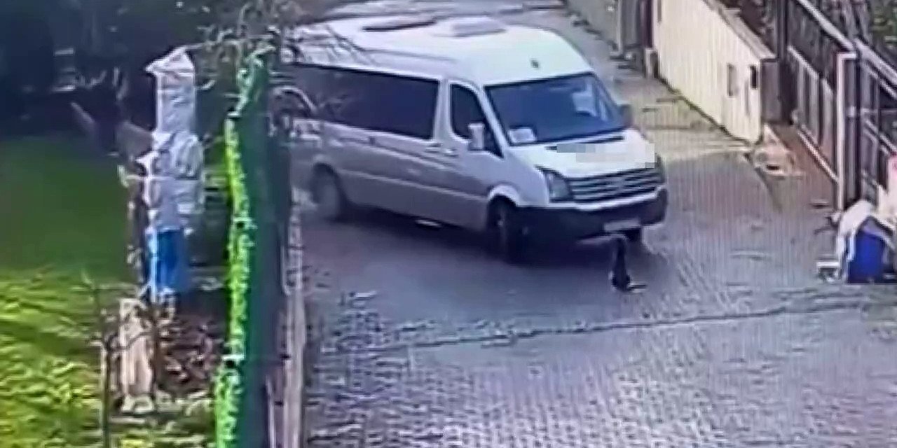 Köpeği ezen servis şoförü, yoluna devam etti