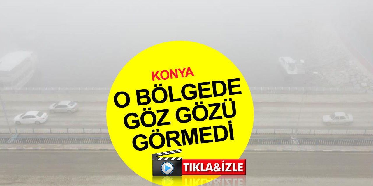 Konya'da yoğun sis! Beyşehir Gölü görünmez oldu balık avına ara verildi