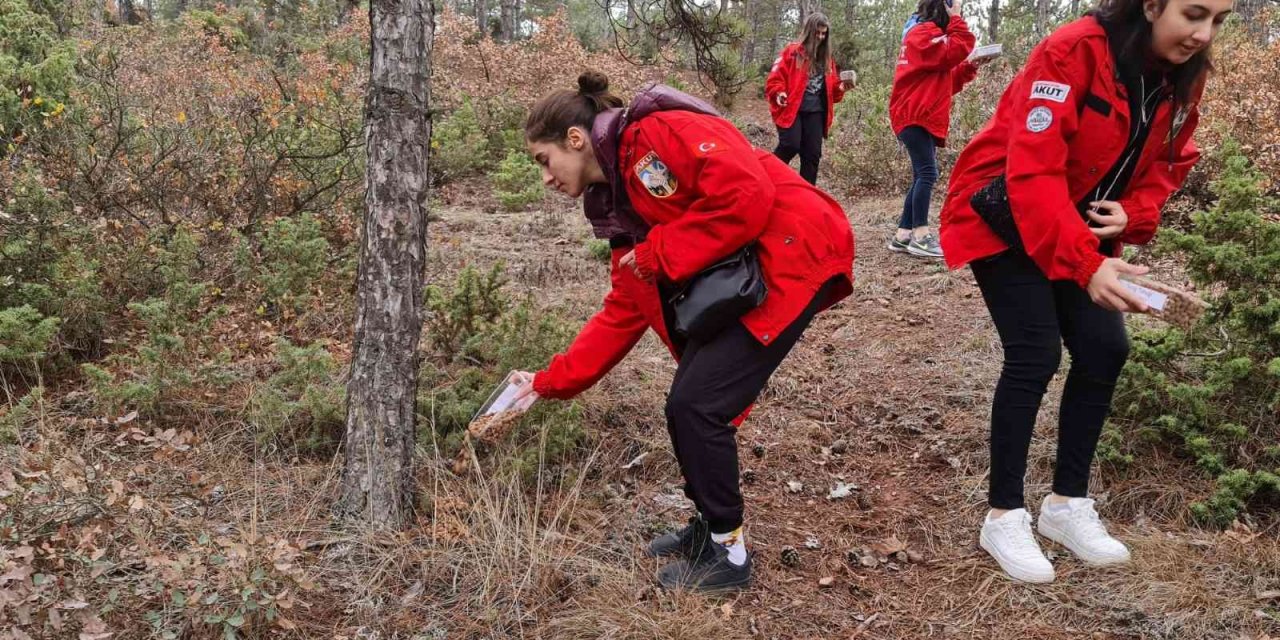 AKUT ve öğrenci kulüpleri sokak hayvanlarına yiyecek bıraktı
