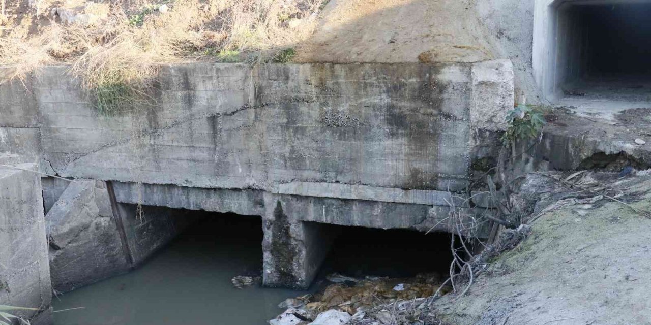 Sulama kanalında eşek kafası ve sakatatları çıktı