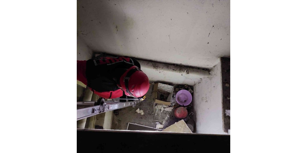 Havalandırma boşluğunda mahsur kalan kedi AKUT gönüllüleri tarafından kurtardı