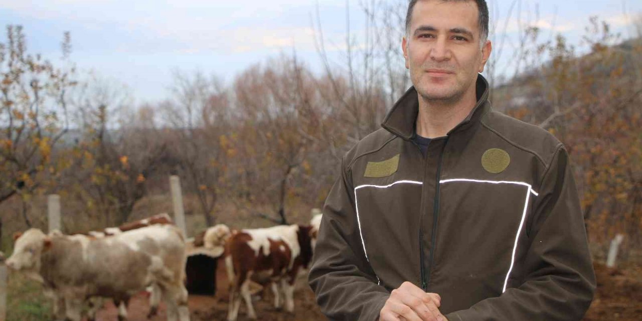 Bankacılığı bıraktı, devlet desteğiyle köyüne yerleşip hayvancılığa başladı