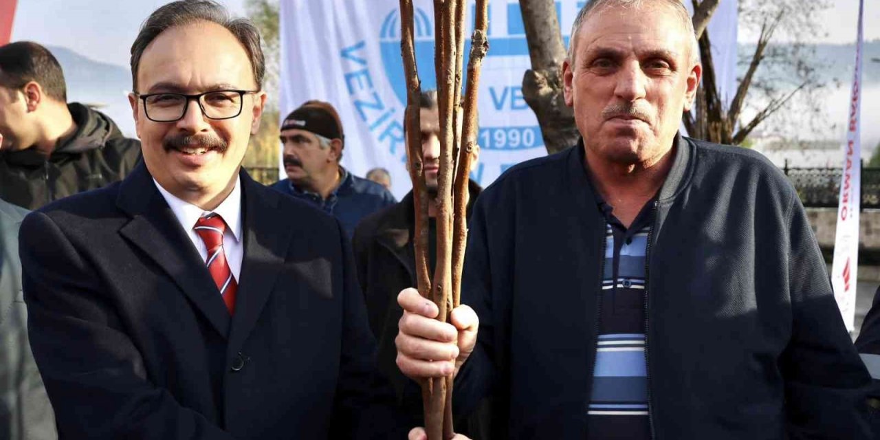 Devlet desteği ile çiftçilere 53 bin adet fidan dağıtıldı