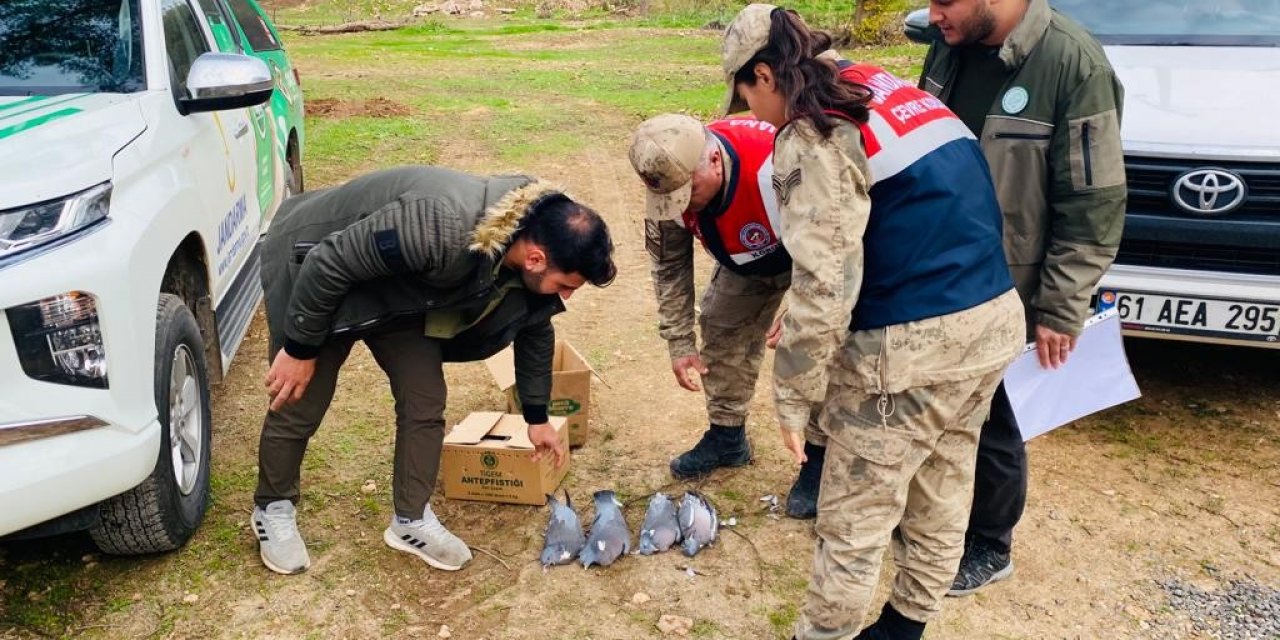 Şanlıurfa’da kaçak avlanan yarım ton balık ele geçirildi
