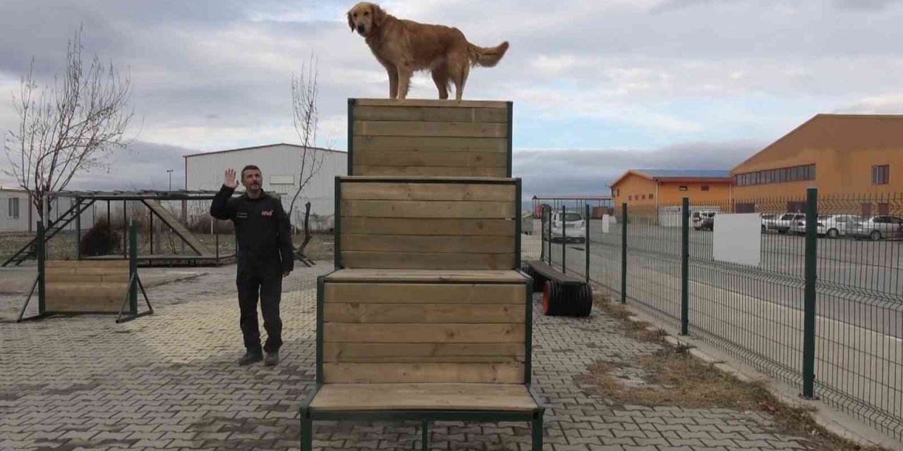 Afyonkarahisar’ın hassas burunları Türkiye’nin her yerinde görev yapıyor