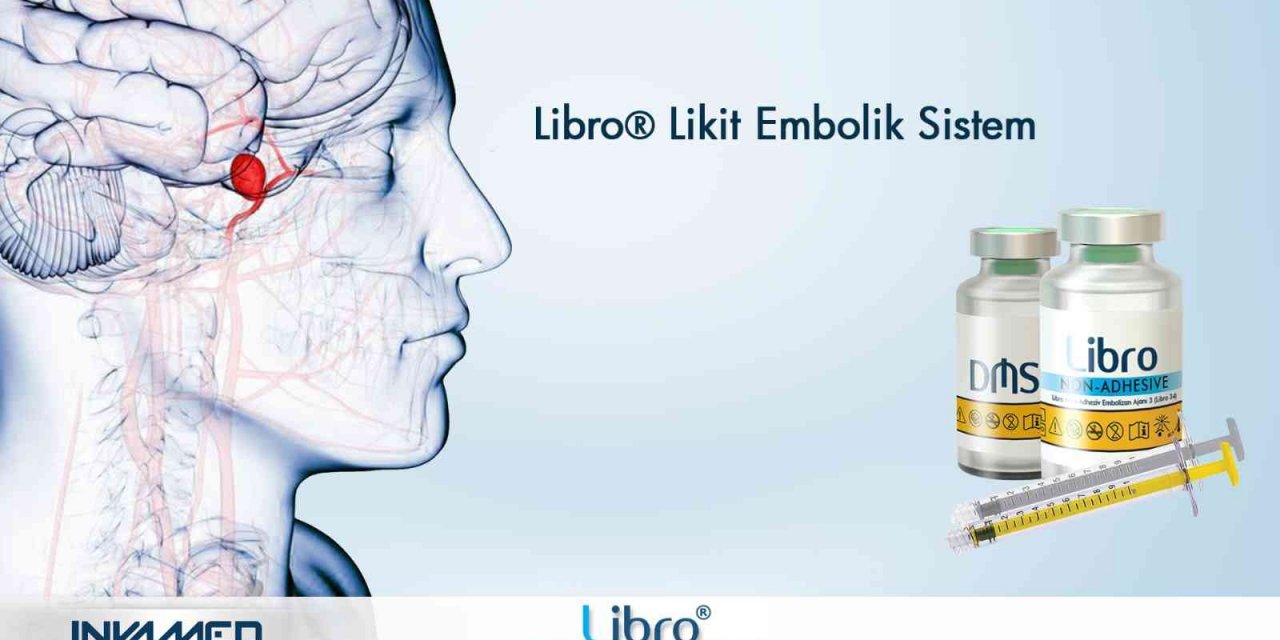 Her yıl yaklaşık 500 bin kişi beyin kanaması geçiriyor