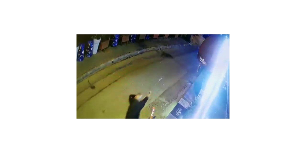 Anlaşmazlığa düşen valeler sokak ortasında birbirlerine kurşun yağdırdı