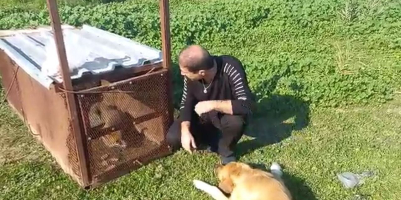 Tilkinin kurnazlığı, emekli polisin ‘Battal Gazi’ kapanına sökmedi