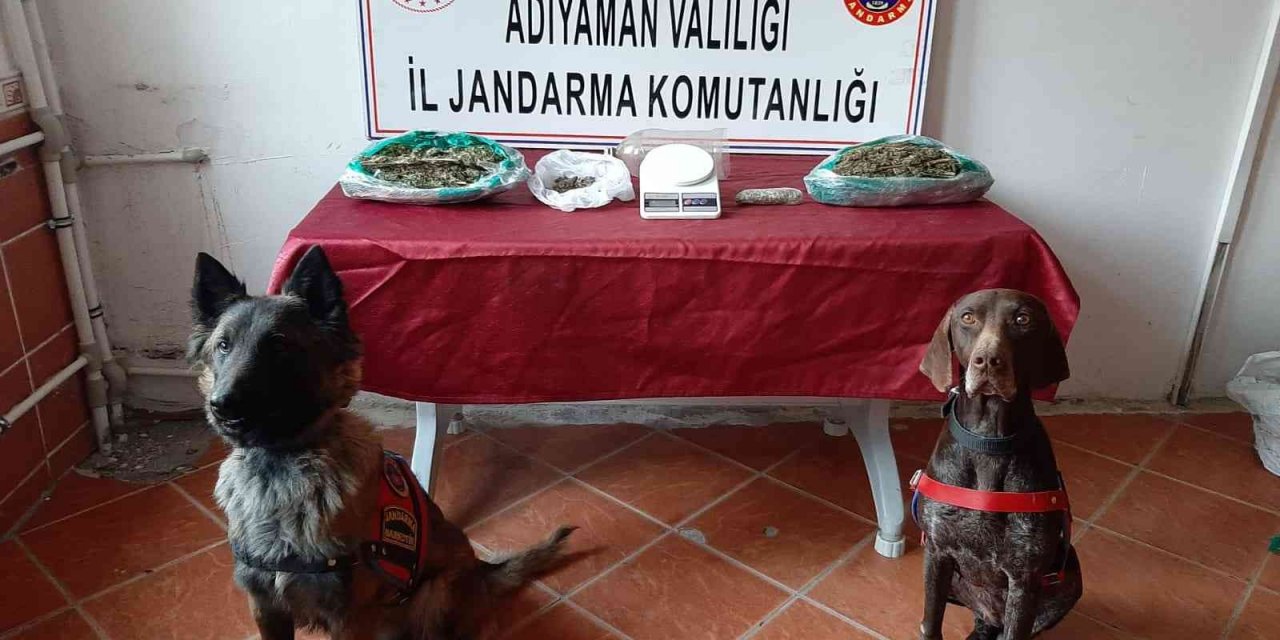 ‘Manken’, ‘Yufka’ ve ‘Arı’ boş geçmiyor