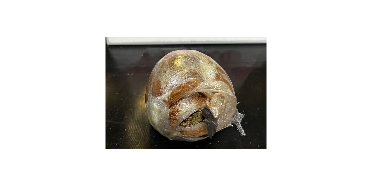 Uyuşturucu operasyonunda 2 tutuklama