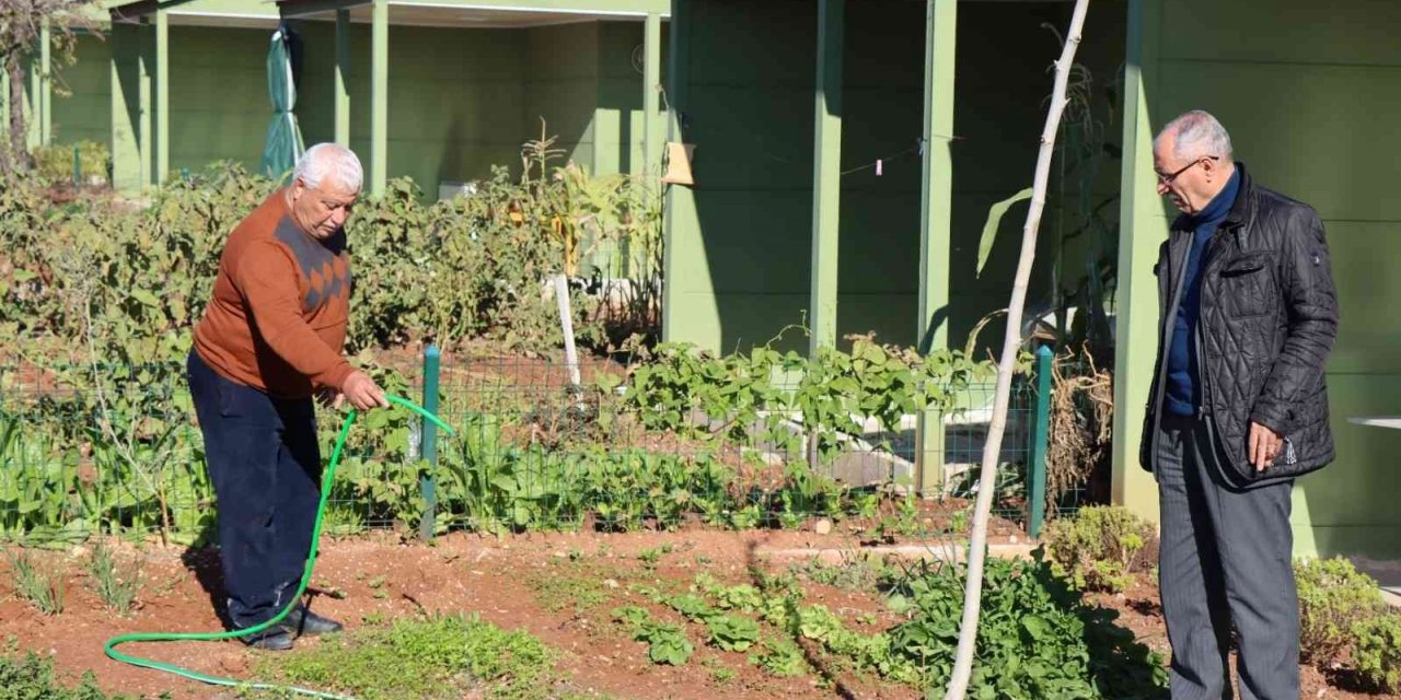 Emekliler zamanlarını sebze işiyle geçiriyor