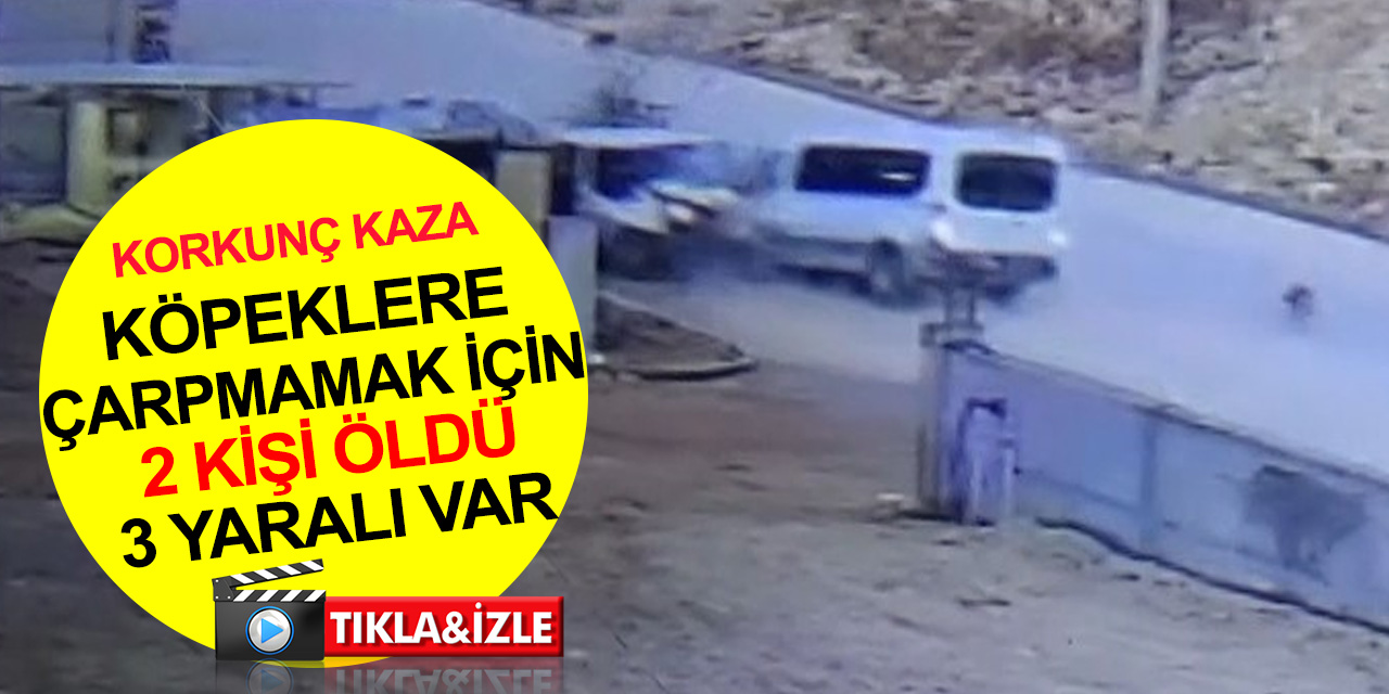 Köpeklere çarpmamak için manevra yapan işçi servisi faciaya neden oldu! Mehmet Patlar ve Fatih Akar öldü, 3 yaralı
