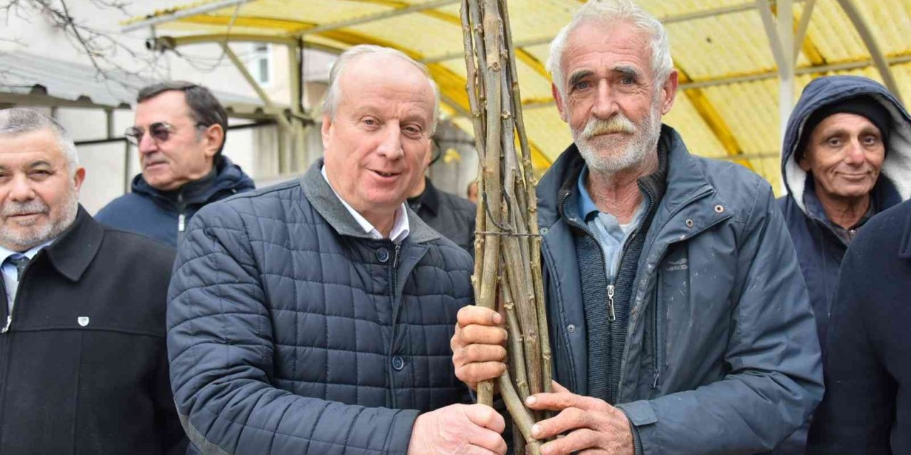 Bozüyük’te 898 adet ceviz fidanı dağıtıldı