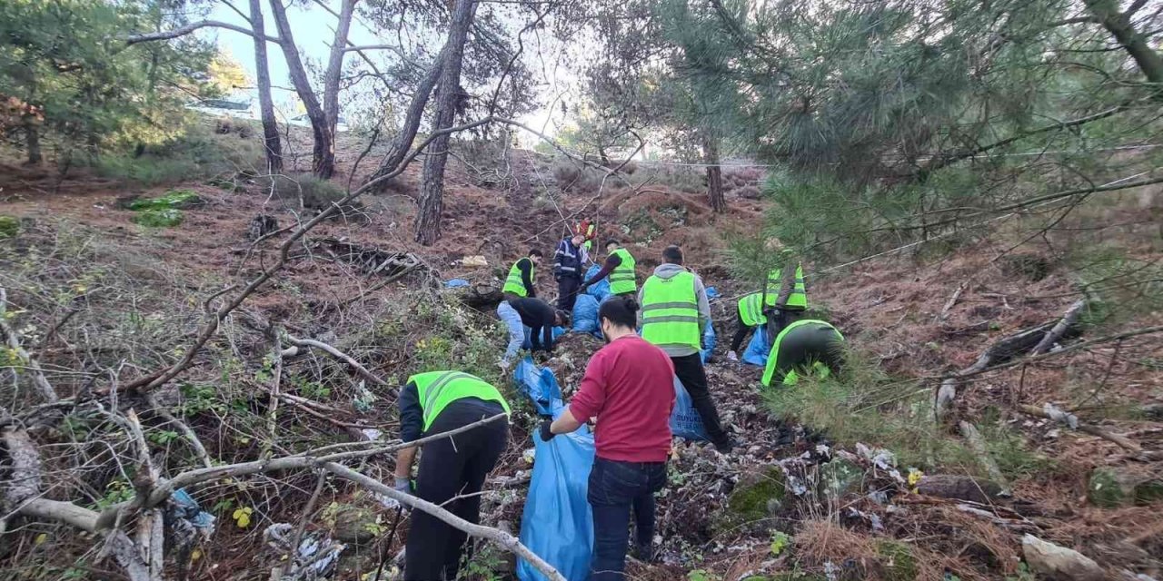 Utanç tablosunu yeşile çevirdiler