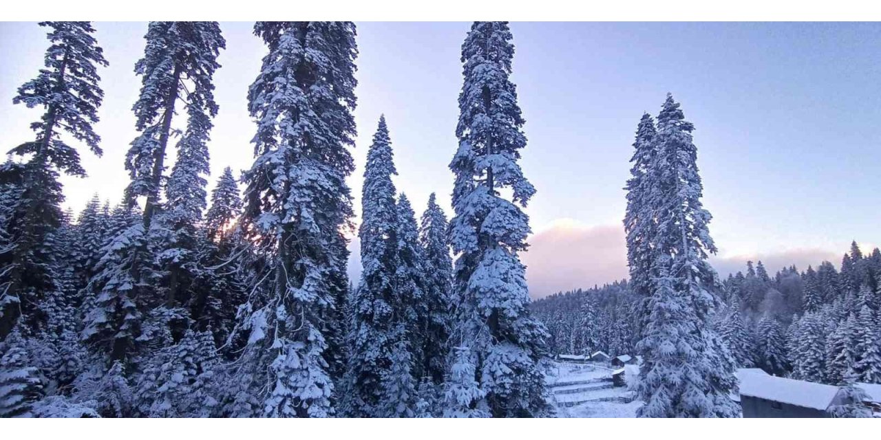 Düzce’de yüksek kesimler beyaza büründü