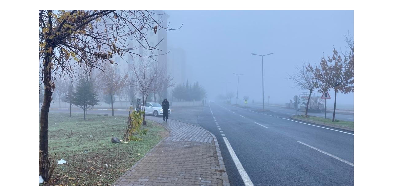 Diyarbakır’da 4 gündür etkili olan sis nedeniyle uçak seferleri iptal edildi