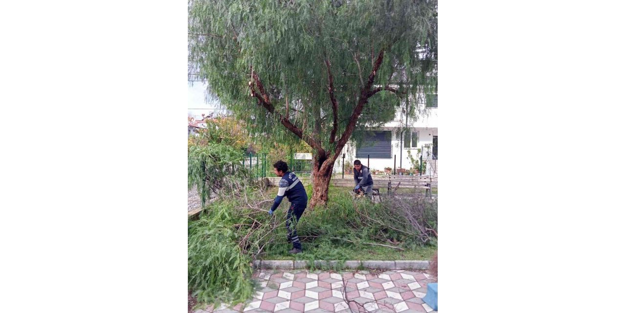 Ortaca’da ‘Yeşil’ seferberlik