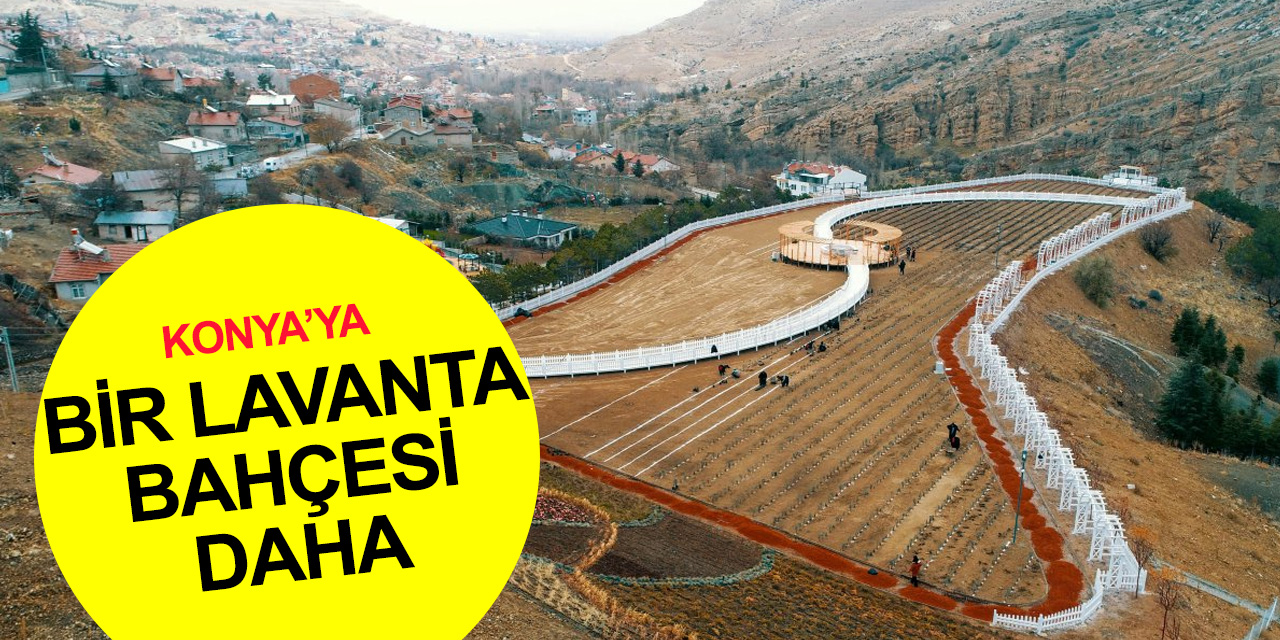Konya'ya bir lavanta bahçesi daha! Konum ve havası diğerlerinden çok başka