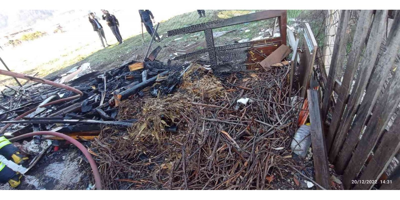 Bahçedeki odunlar tutuştu ev yanmaktan kurtuldu