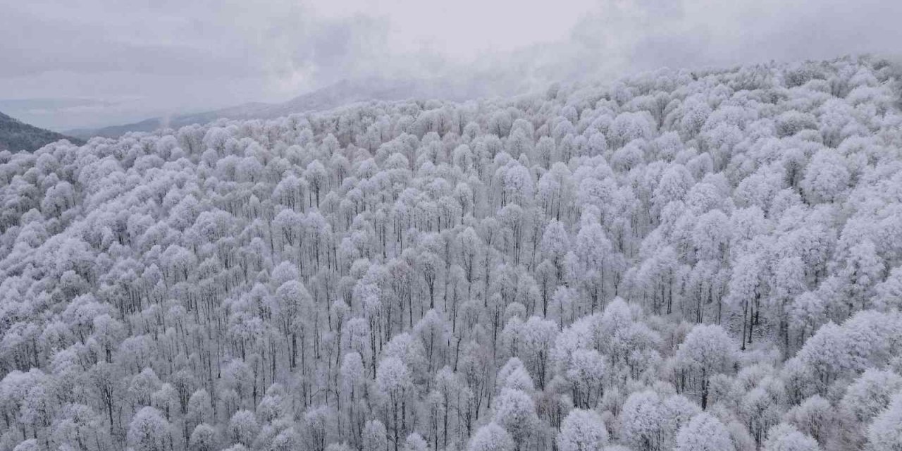 Bursa’da kar kartpostallık görüntüler oluşturdu