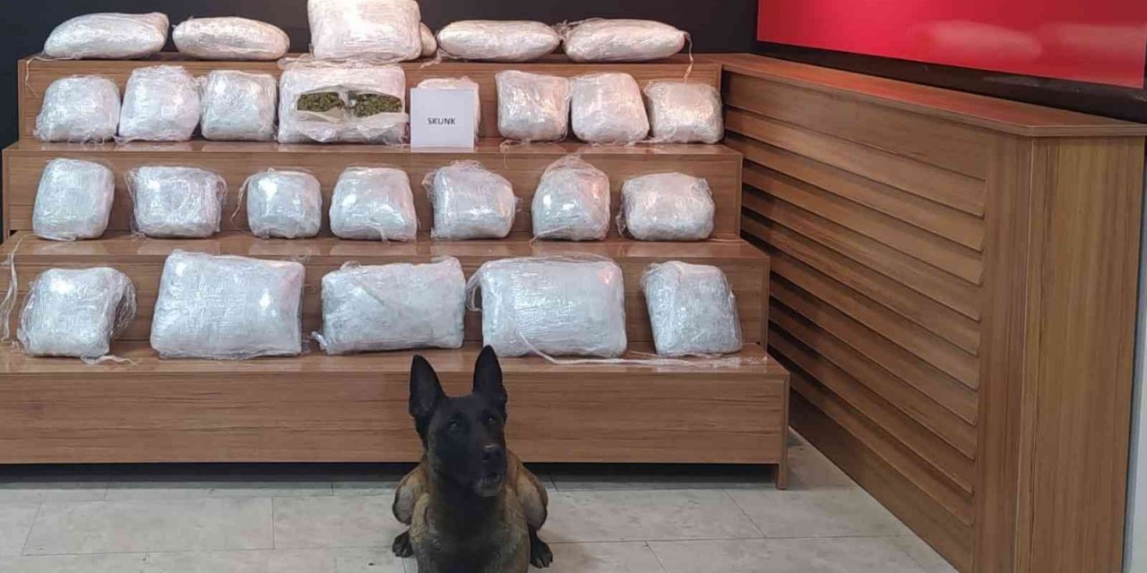 Şanlıurfa’da 21 kilo 550 gram skunk ele geçirildi