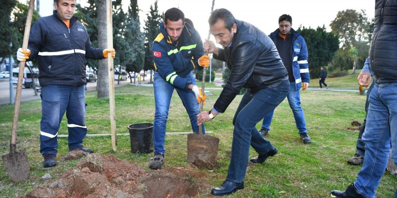 Çukurova’da turunç seferberliği