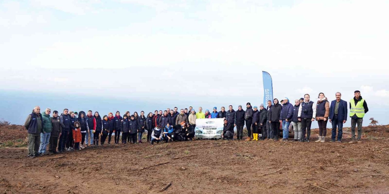 4 yılda 4 bin fidan doğayla buluştu