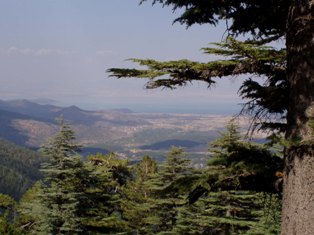 Beyşehir'de muhafaza ormanı sınırları daraldı