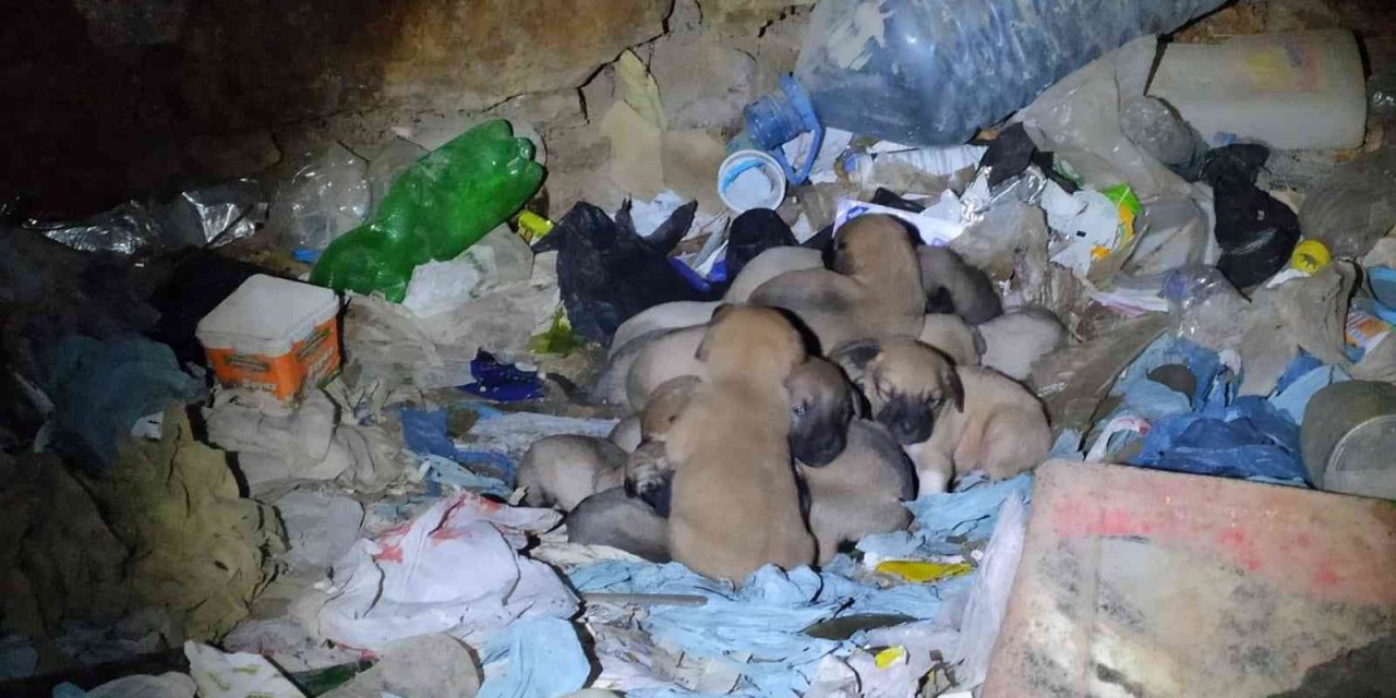 Eskişehir’de vicdanları hem sızlatan hem de ısıtan olay