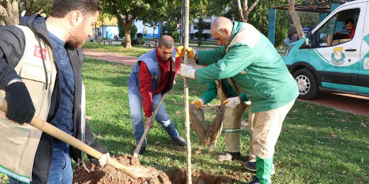 Haliliye’de peyzaj çalışmaları ile parklar yeşilleniyor