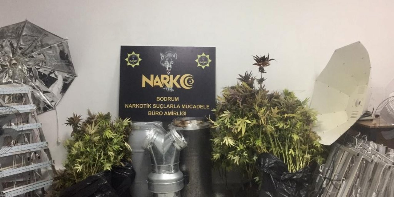 Evi kenevir bahçesine çevirmiş