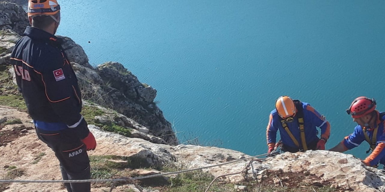 Kayalıklarda mahsur kalan keçiler halatlarla kurtarıldı