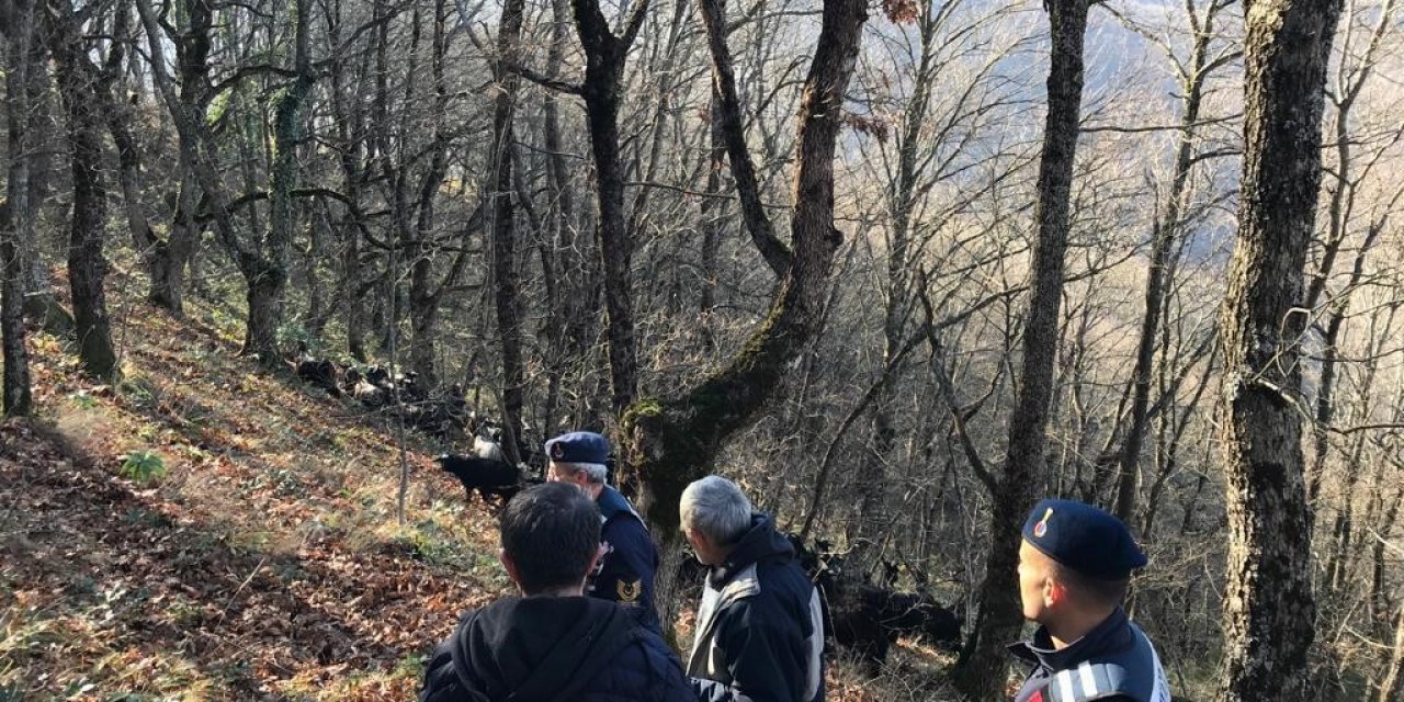 Kayıp koyunları jandarma ekipleri buldu
