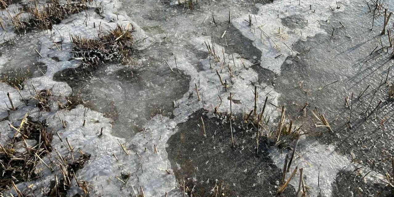 Hava sıcaklığının eksi 5’e düştüğü Erzurum buz tuttu