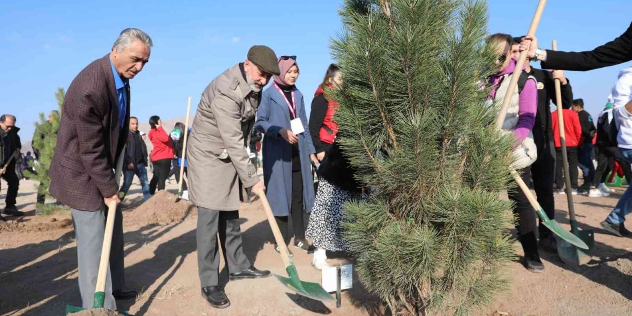 Başkan Çolakbayrakdar; “Bu yıl, 126 binden fazla ağacı toprakla buluşturduk”