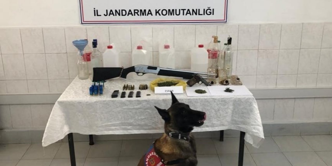 Jandarma uyuşturucu baskını yaptığı adreste silah ve tarihi eserde ele geçirdi