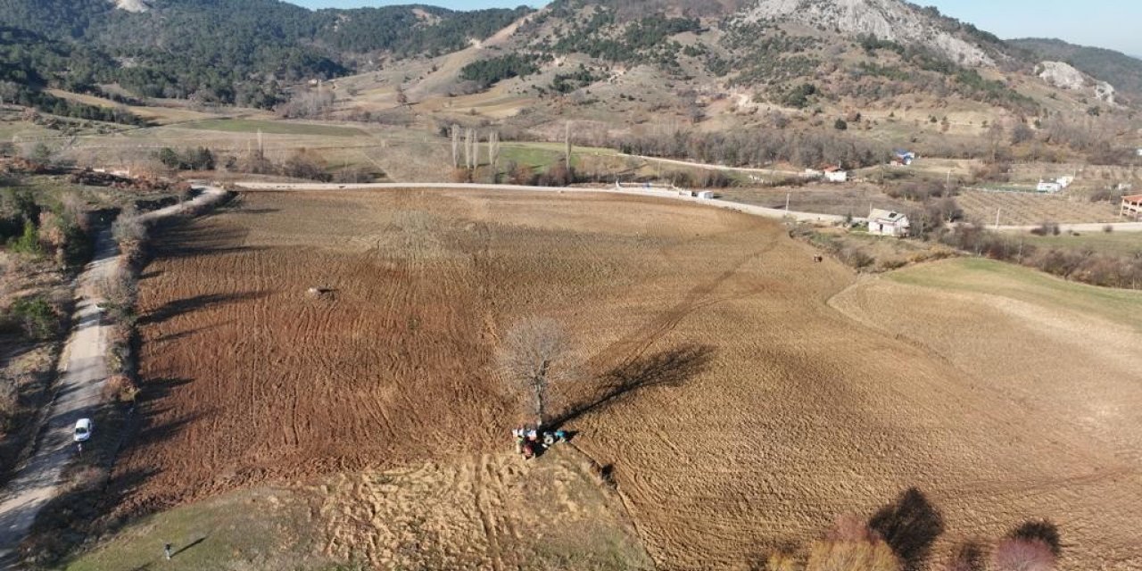 Gürsu Belediyesi buğday ekti