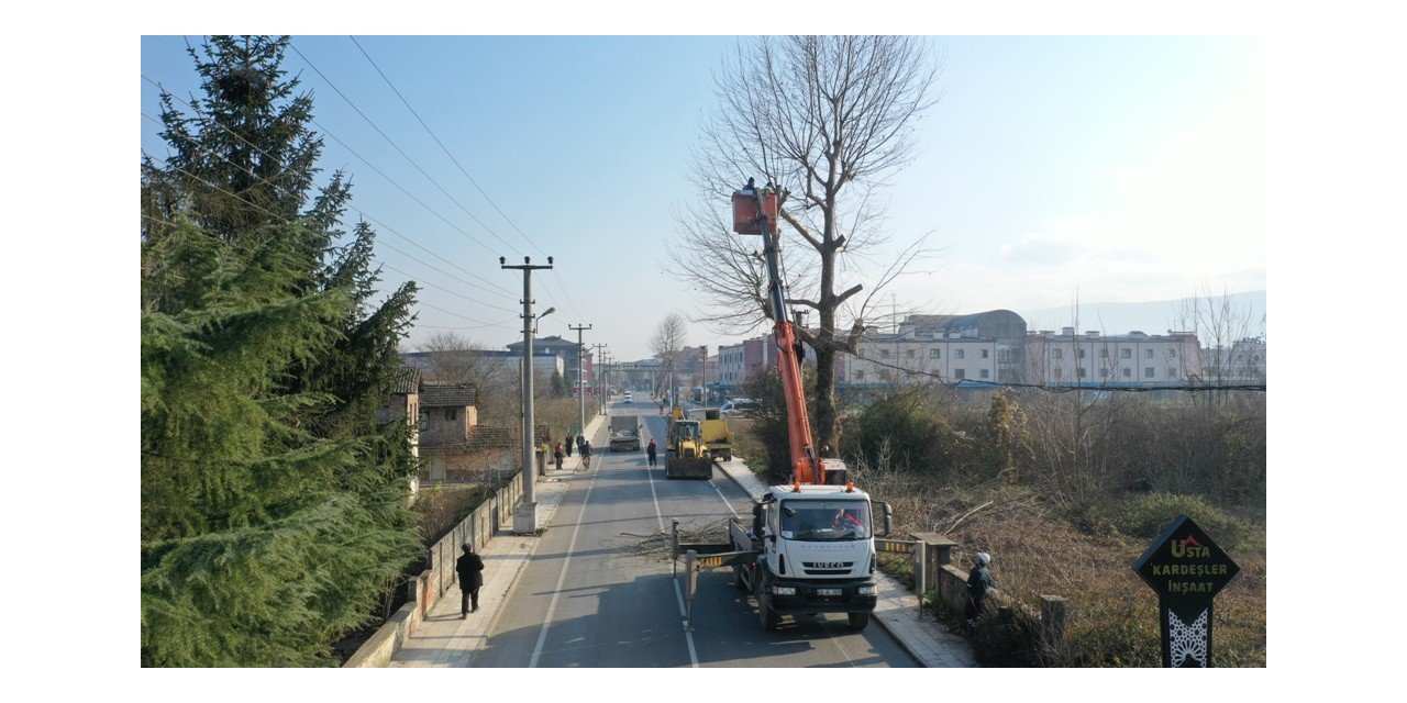 Ağaçlara kar yağışı öncesi bakım