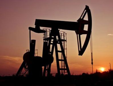Ergani'de petrol sevinci