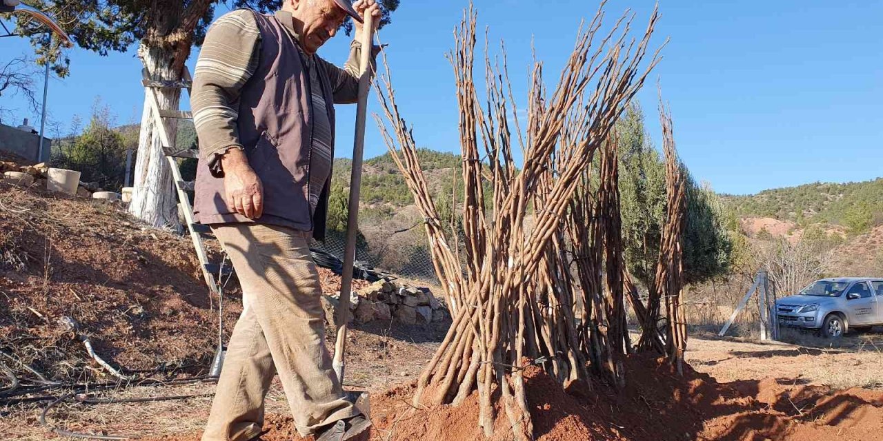 Kuruyan fidanların yerine yenisi dikildi