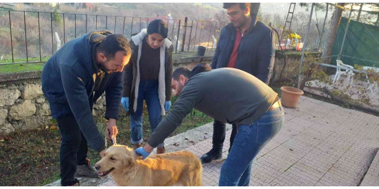 Elazığ’da evcil hayvanların çip ve pasaportlama çalışmaları sürüyor