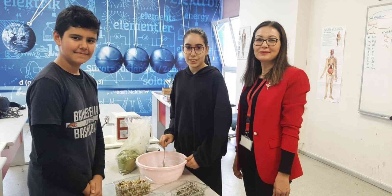 Doğal bitkilerden saç boyası ürettiler