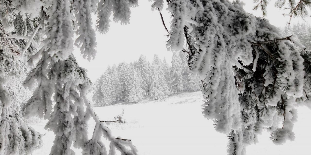 Abant Tabiat Parkı’nda kar yağışı başladı