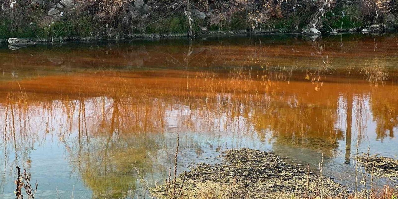 Çayı kirletip balık ölümüne sebep olan firmaya 66 bin lira ceza kesildi