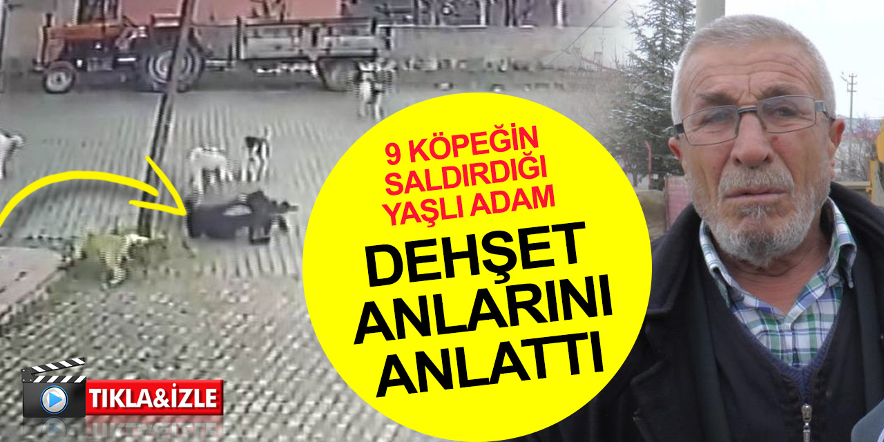 Türkiye 2023'e bu haberlerle giriyor! 9 başıboş köpeğin arasında kalan vatandaşın yaşadığı dehşet kamerada